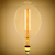 60 Watt Incandescent - Oversized Vintage Light Bulb - 14.6 in. x 7 in.  Thumbnail