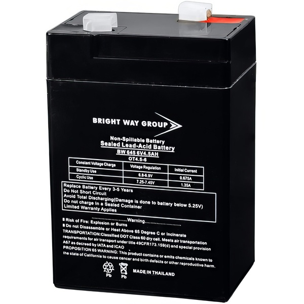 Bright Way Group BW645F1 - AGM Battery - Primary