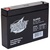 Interstate Batteries SLA0925 - AGM Battery - 6 Volt  Thumbnail