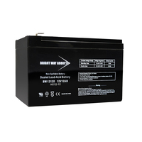 12 Volt - 12 Ah - AGM Battery - F1 Terminal - Sealed AGM - Bright Way Group BW12120F1