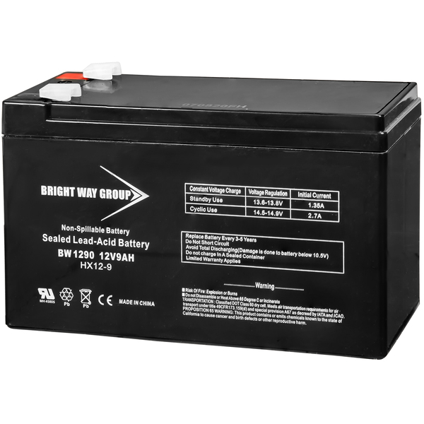 Bright Way Group BW1290F2 - AGM Battery