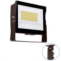LED 80W FLD LT WHT BRKT-SF