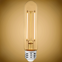 450 Lumens - 4 Watt - 2700 Kelvin - LED T10 Tubular Bulb - 40 Watt Equal - Incandescent Match - 120 Volt - PLT-11846