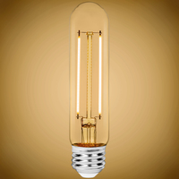 LED FILAMENT T10 4W 2700K