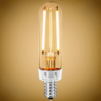 300 Lumens - 4 Watt - 2700 Kelvin - LED T6 Tubular Bulb - 25 Watt Equal - Incandescent Match - 120 Volt - PLT-11847B