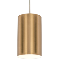 AFX Tyke - 6.5 in. Pendant Fixture - Brass Finish - Uses (1) Incandescent or LED Bulb - Medium Base - 9 ft. Adjustable Cord - 120 Volt - AFX Lighting TYKP04MBSB