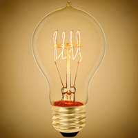 60 Watt - Victorian Bulb - 4.5 in. Length - Vintage Light Bulb - Clear - A19 - Antique Light Bulb Co. - S2419