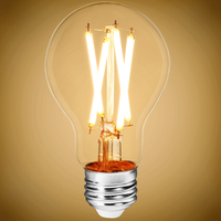 LED A19 13W FIL 2700K