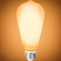 250 Lumens - 2.5 Watt - 2200 Kelvin - LED Edison Bulb - 5.5 in. x 2.5 in. - 25 Watt Equal - 120 Volt - PLT-12673