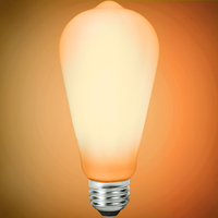 500 Lumens - 8 Watt - 1800-3200 Kelvin - LED Edison Bulb - 5.5 in. x 2.5 in. - 60 Watt Equal - 120 Volt - TCP FST19D60GL1