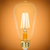600 Lumens - 7 Watt - 2200 Kelvin - LED Edison Bulb - 5.52 in. x 2.52 in. Thumbnail