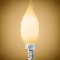 LED F11 25W 24K E12 FROST