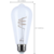 500 Lumens - 6 Watt - 2700 Kelvin - LED Edison Filament Bulb - 5.3 in. x 2.3 in. Thumbnail