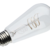 500 Lumens - 6 Watt - 2700 Kelvin - LED Edison Filament Bulb - 5.3 in. x 2.3 in. Thumbnail