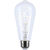 500 Lumens - 6 Watt - 2700 Kelvin - LED Edison Filament Bulb - 5.3 in. x 2.3 in. Thumbnail