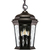 1300 Lumens - 12.5 Watt - 3000 Kelvin - LED Outdoor Pendant Fixture - Flame Lantern Thumbnail