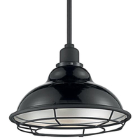 9 in. x 12 in. Pendant Fixture - Silver Baffle - Black Finish - Newbridge Collection - Uses (1) Incandescent or LED Bulb - Medium Base - 3 ft. Adjustable Stem - 120 Volt - Nuvo 60-7004
