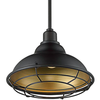 9 in. x 12 in. Pendant Fixture - Gold Baffle - Bronze Finish - Newbridge Collection - Uses (1) Incandescent or LED Bulb - Medium Base - 3 ft. Adjustable Stem - 120 Volt - Nuvo 60-7014
