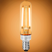 LED T6 2.5W FILAMENT 2100K