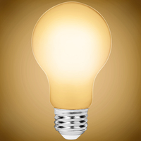 1100 Lumens - 10 Watt - 2700 Kelvin - LED A19 Filament Bulb - Milky Finish - 75 Watt Equal - Medium Base - 90 CRI - 120 Volt - PLT-13062