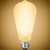 Natural Light - 450 Lumens - 5 Watt - 2700 Kelvin - LED Edison Bulb - 5.4 in. x 2.5 in.  Thumbnail