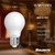 800 Lumens - 9 Watt - LED A19 Filament Bulb - Warm Dimming 3000 to 1800 Kelvin Thumbnail