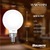 500 Lumens - 5 Watt - Warm Dimming 3000 to 1800 Kelvin - LED G16 Globe Filament Bulb Thumbnail