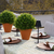 15 in. Diameter Boxwood Sphere Topiary - UV Resistant Thumbnail