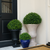 25 in. Diameter Boxwood Sphere Topiary - UV Resistant Thumbnail