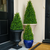 18 in. Boxwood Cone Topiary - UV Resistant Thumbnail