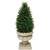 18 in. Boxwood Cone Topiary - UV Resistant Thumbnail