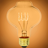 40 Watt - Vintage Light Bulb - BT27 Lantern - 4.5 in. Length - Quad Loop Filament - Tinted