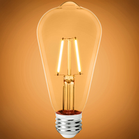 250 Lumens - 2.5 Watt - 2200 Kelvin - LED Edison Bulb - 5.5 in. x 2.5 in. - 25 Watt Equal - 120 Volt - PLT-12669