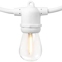 52 ft. Patio Stringer - (24) Medium Base Sockets - White Wire - 24 in. Socket Spacing - Male to Female Plug Connection - PLT PremiumSpec PLT-13367