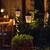 LED Flame Tubular Bulb - 2.5 Watt - 25 Watt Equal - Candle Glow - 4.9 in. x 2.4 in. Thumbnail