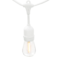 52 ft. Patio Stringer - (24) Suspended Medium Base Sockets - White Wire - 24 in. Socket Spacing - Male to Female Plug Connection - PLT PremiumSpec PLT-13369