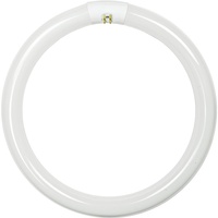 Halco 37507 - FC12T9/CW - 32 Watt - T9 Circline - 12 in. Diameter - 4100 Kelvin - Case of 12