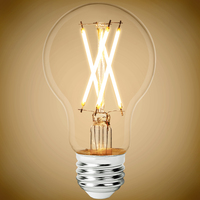 LED FILAMENT A19 7W 3000K