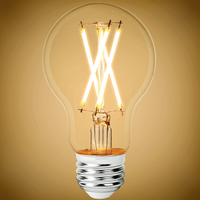 LED A19 8.5W FILAMENT 2400K