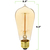 40 Watt - Edison Bulb - Incandescent Vintage Light Bulb - 205 Lumens - 5.16 in. x 2.2 in. Thumbnail