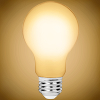 LED A19 8.5W FILAMENT 2400K