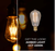 25 Watt - Edison Bulb - Incandescent Vintage Light Bulb - 35 Lumens - 3.8 in. x 2 in.  Thumbnail