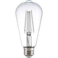 800 Lumens - 8.5 Watt - 3000 Kelvin - LED Edison Filament Bulb - 5.5 in. x 2.5 in. - Clear - White Filament - 75 Watt Equal - 90 CRI - 120 Volt - PLT-13415