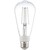 500 Lumens - 4.5 Watt - LED Edison Filament Bulb with 5 Selectable Color Temperature Thumbnail