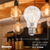 850 Lumens - 8.5 Watt - 2700 Kelvin - LED A19 Light Bulb Thumbnail
