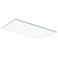 LED SELECT PANEL 2X4 55W MAX