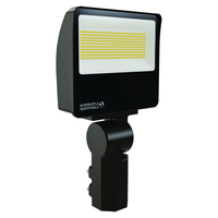 LED SELECT FLOOD LGT 100W MAX