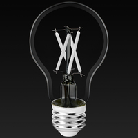 LED A19 5W WHT FIL 3000K