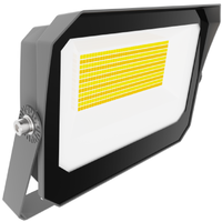 LED 80W FLOOD YOKE