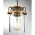 5 in. x 7.5 in. Pendant Fixture - Clear Glass - Brass Finish Thumbnail